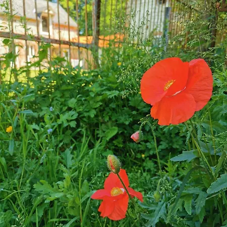 Les De Wargemont *