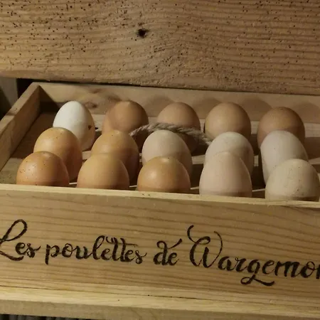 Les De Wargemont Sauchay